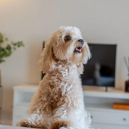 Premium With Garage By Hostwise Apartamento *