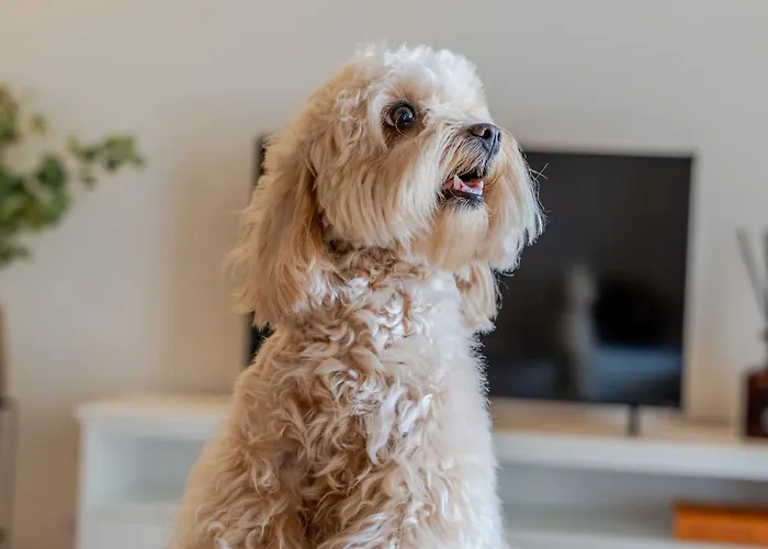 Premium With Garage By Hostwise Lejlighed *